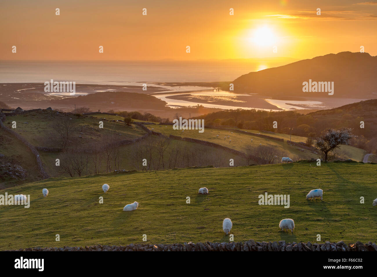 Sunset over Barmouth and the Mawddach Estuary with the distant Llyn Peninsula, North Wales, UK Stock Photo