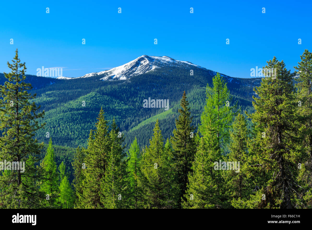 roderick mountain in the percell mountains near yaak, montana Stock Photo