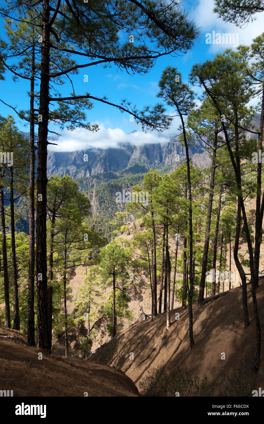 La Cumbrecita in the Parque Nacional de la Caldera de Taburiente national park, La Palma, Canary Islands, Spain, Europe Stock Photo