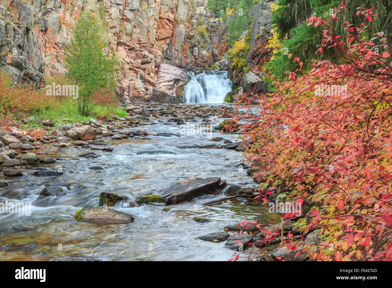 waterfall and fall colors along tenderfoot creek in the little belt