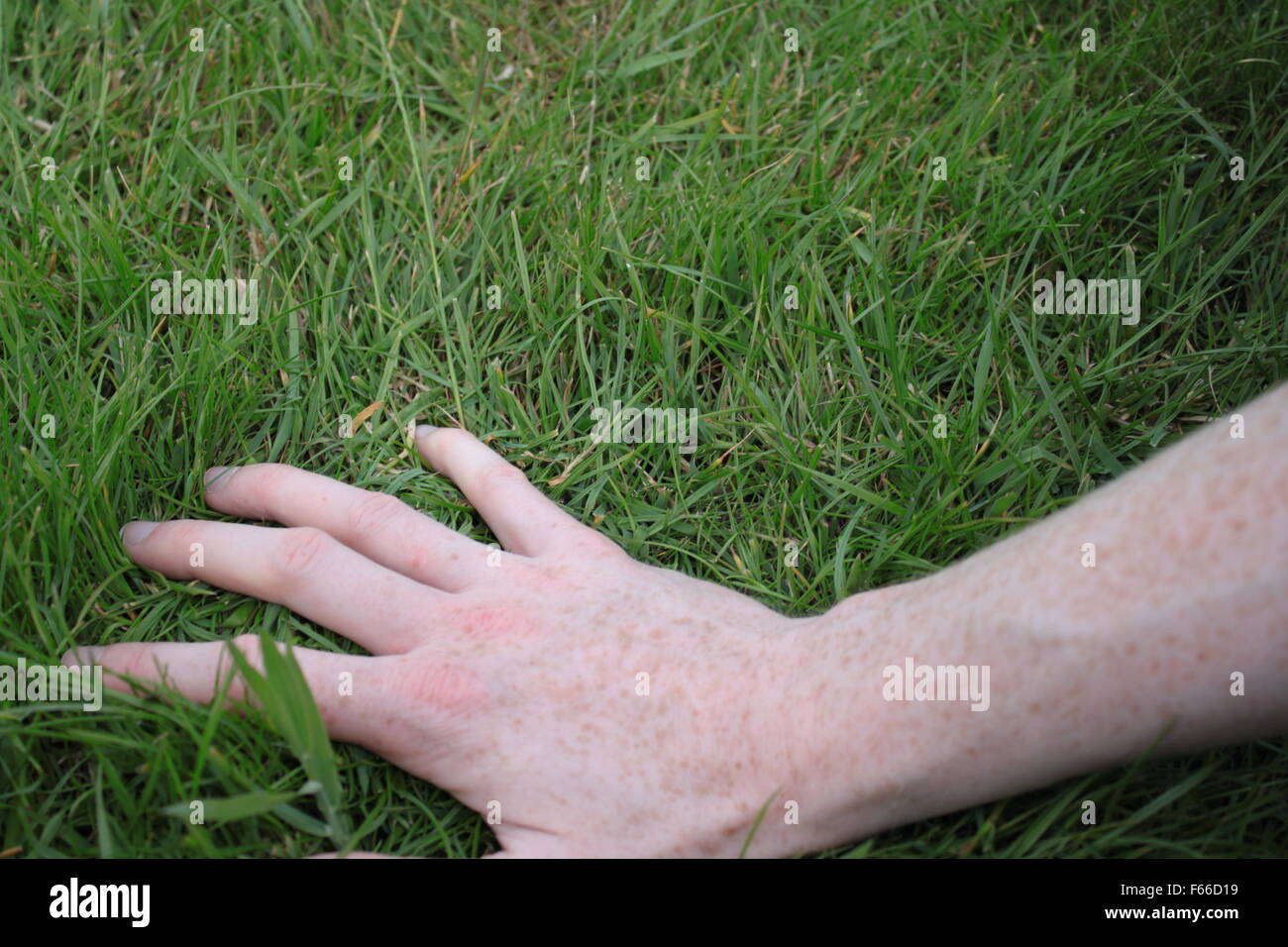 A hand in the green grass of a back garden Stock Photo