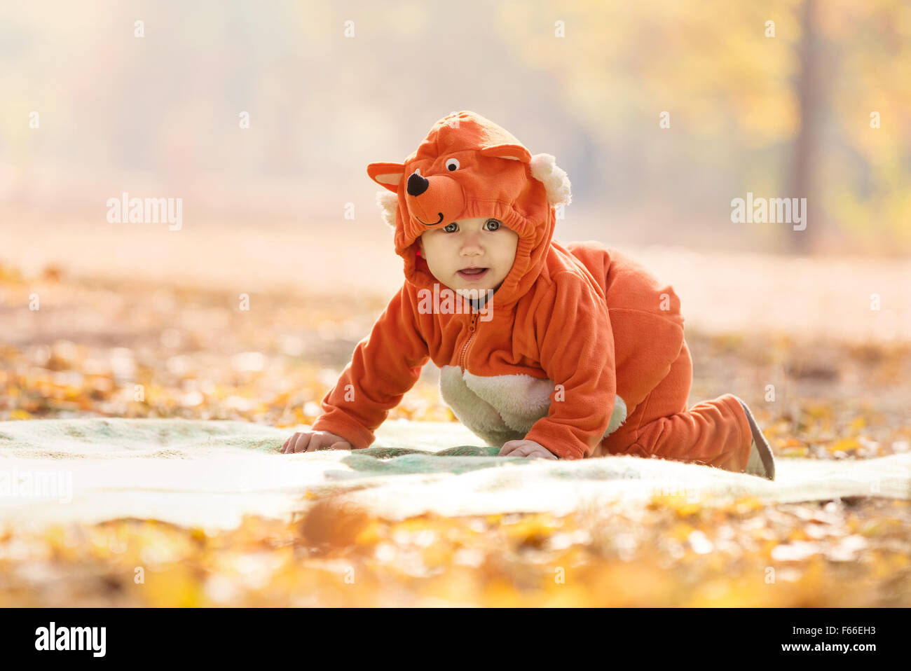 Cute baby boy dressed in fox costume in autumn park Stock Photo