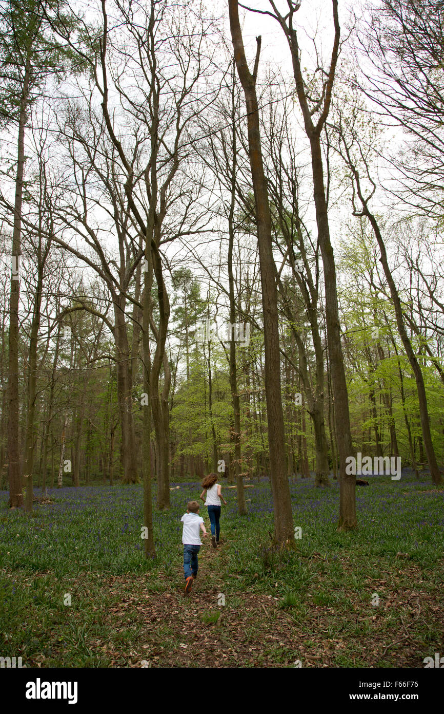 Brother and sister playing in the Bluebell woods Stock Photo - Alamy