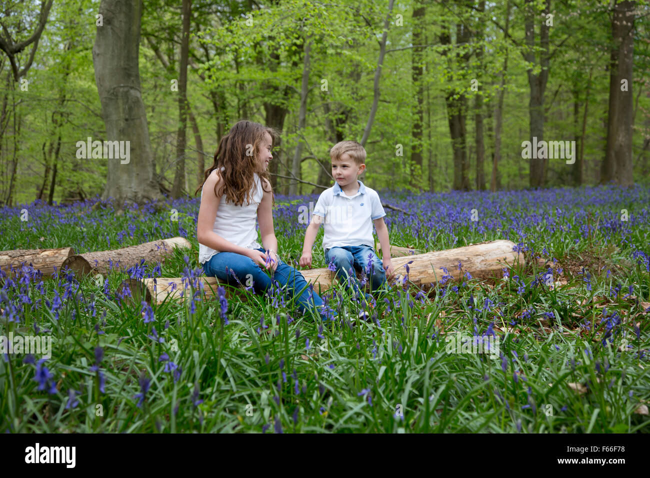 Brother and sister playing in the Bluebell woods Stock Photo - Alamy