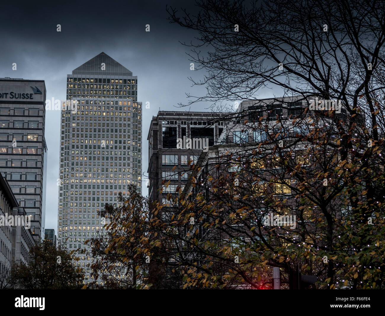 Christmas lights in trees surrounding Canary Wharf in the Docklands
