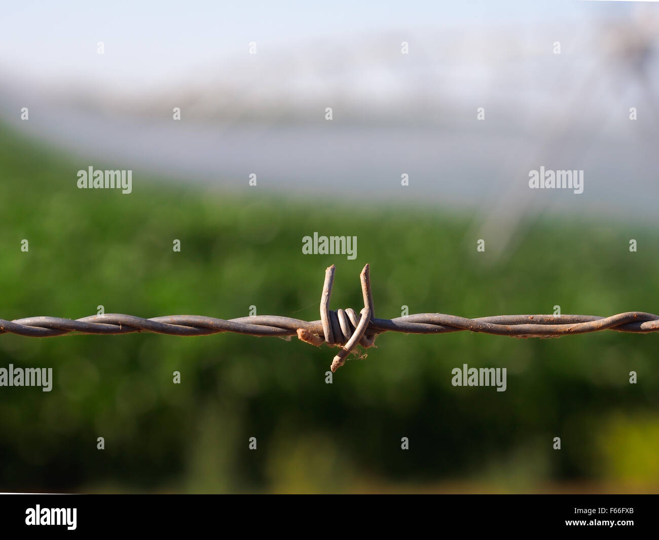 Close up of barbed wire fence Stock Photo