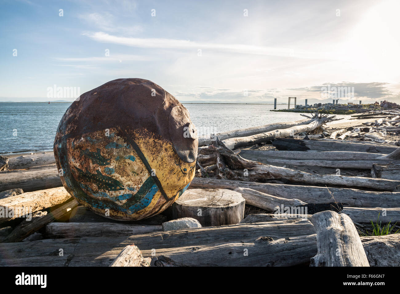 Ocean debree on a beach in Vancouver Stock Photo Alamy