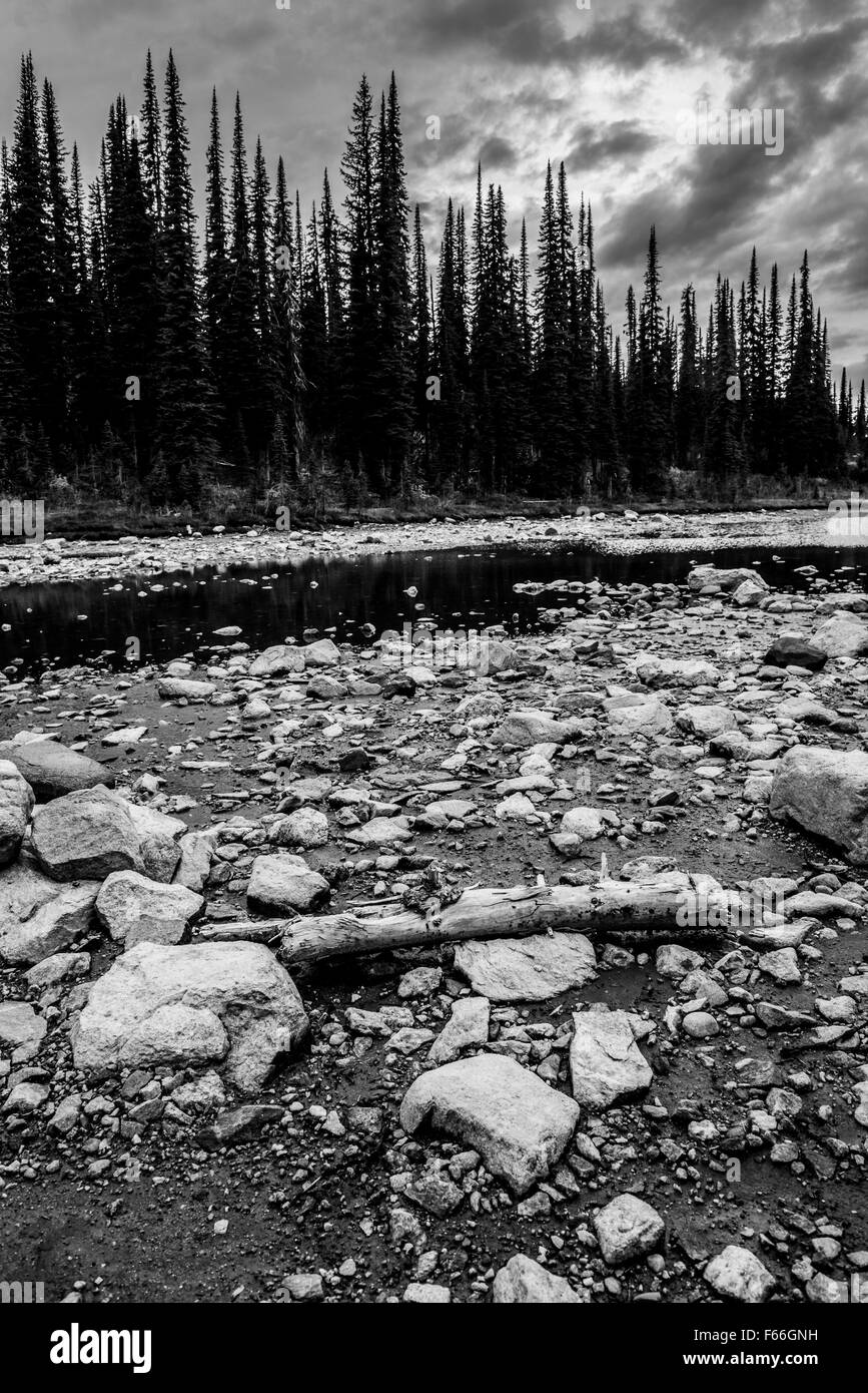 Black and White photo of the rocks and forest in Canada. Stock Photo