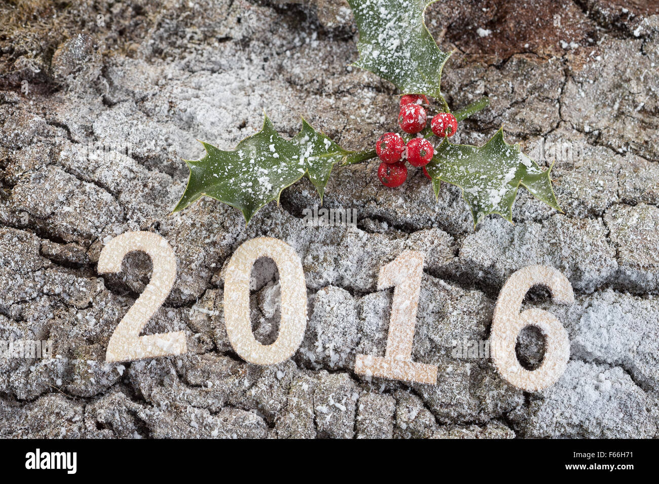 number 2016 on  wood bark with holly Stock Photo