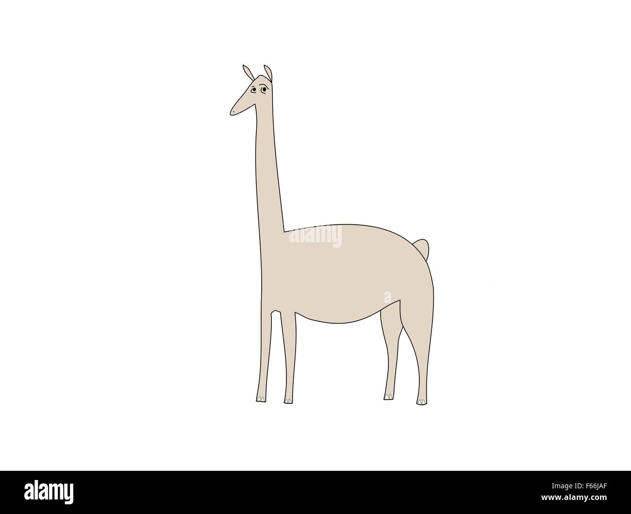 Llama Stock Vector