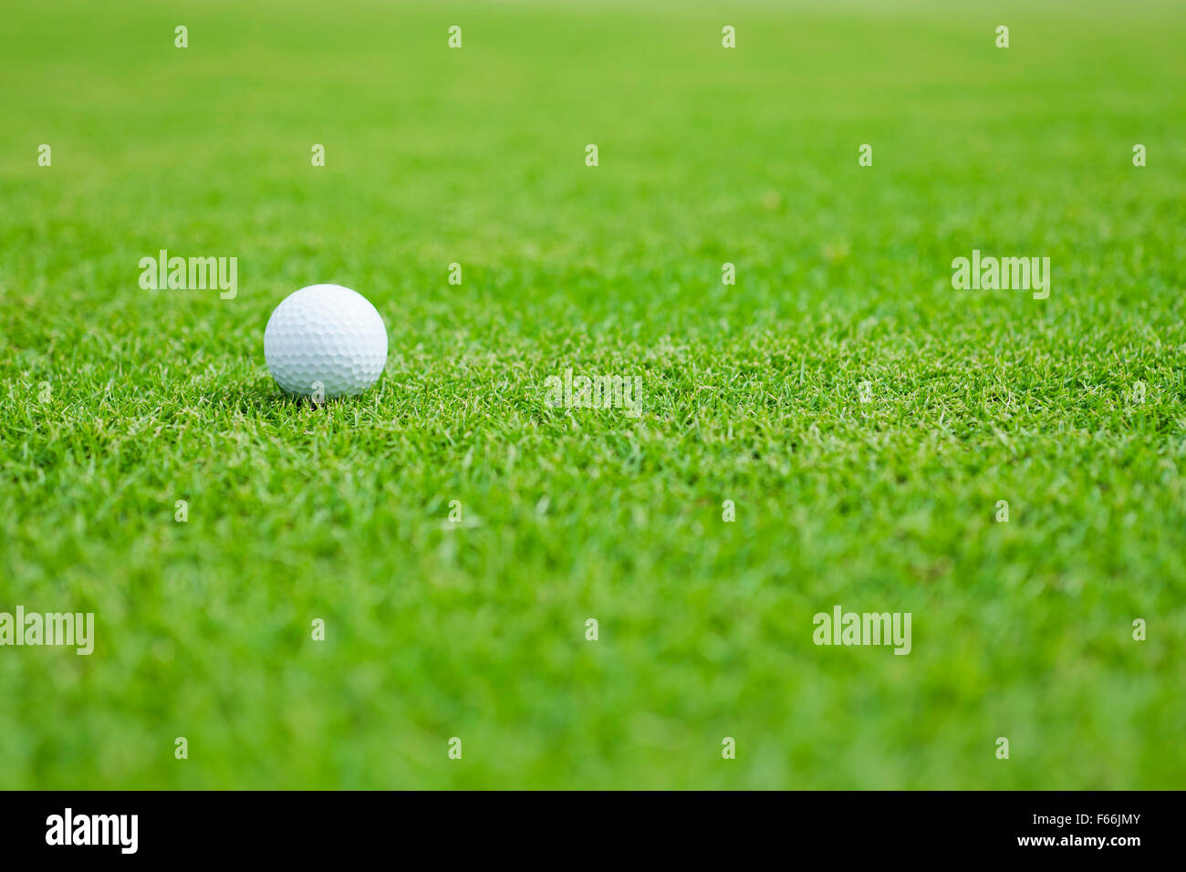 Golf ball on putting green Stock Photo Alamy