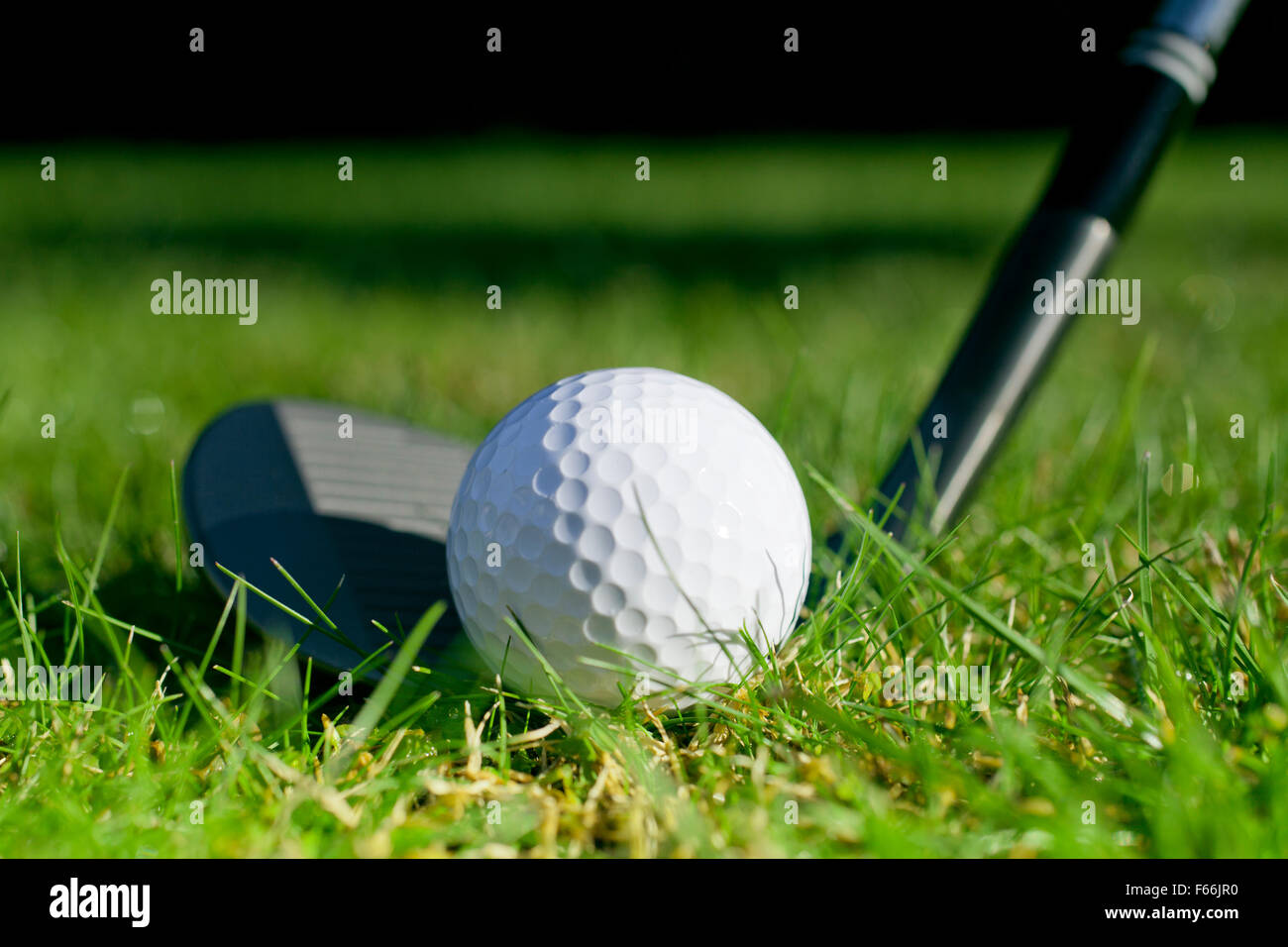 Lofted wedge resting behind a golf ball Stock Photo