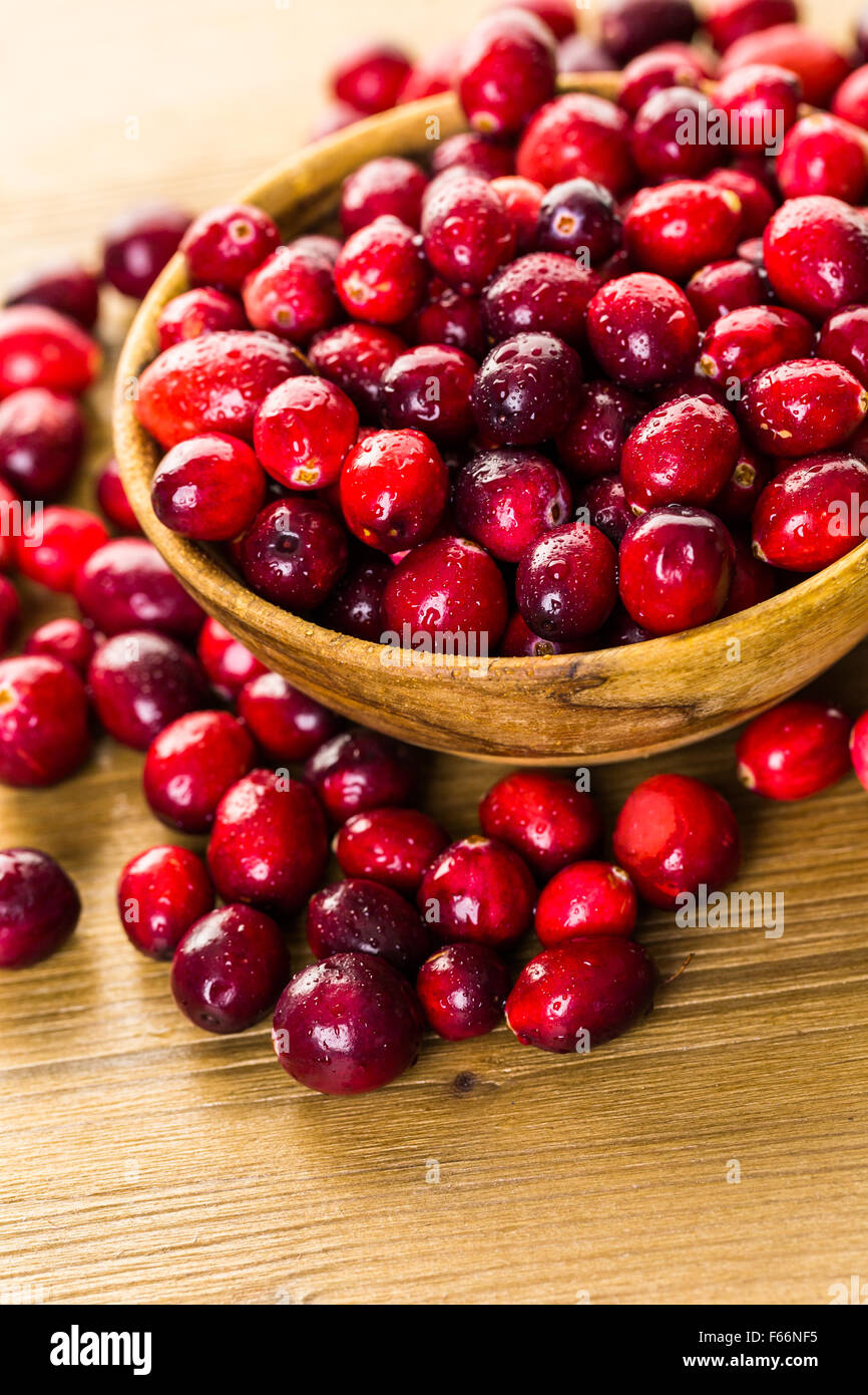 Organic fresh cranberries in season Stock Photo Alamy