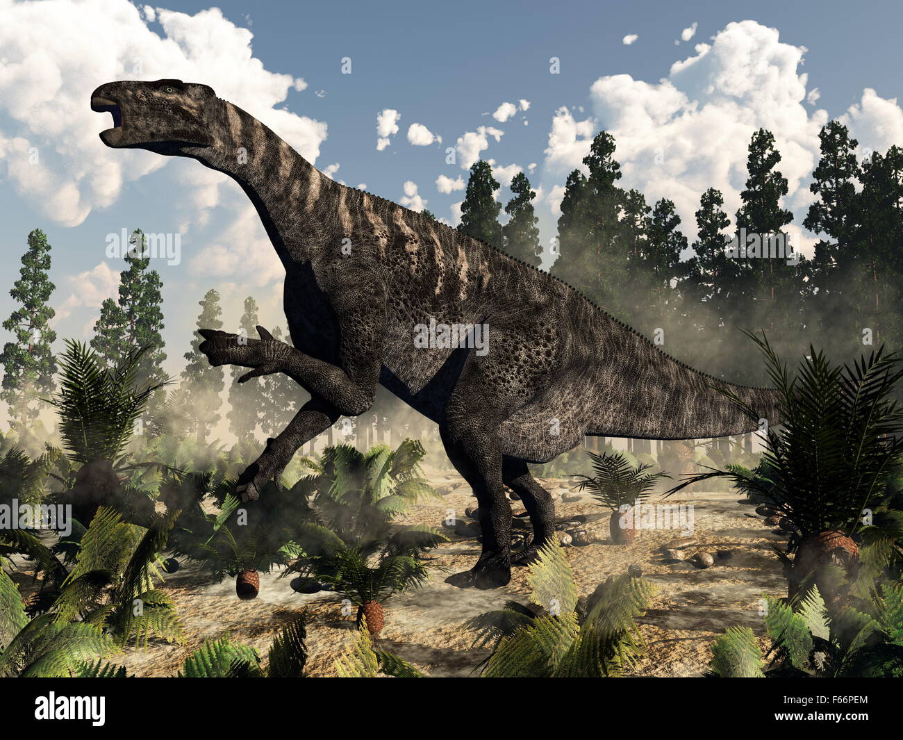 Iguanodon dinosaur roaring while walking among ferns, cycas and wollemia plants by day with clouds - 3D render Stock Photo