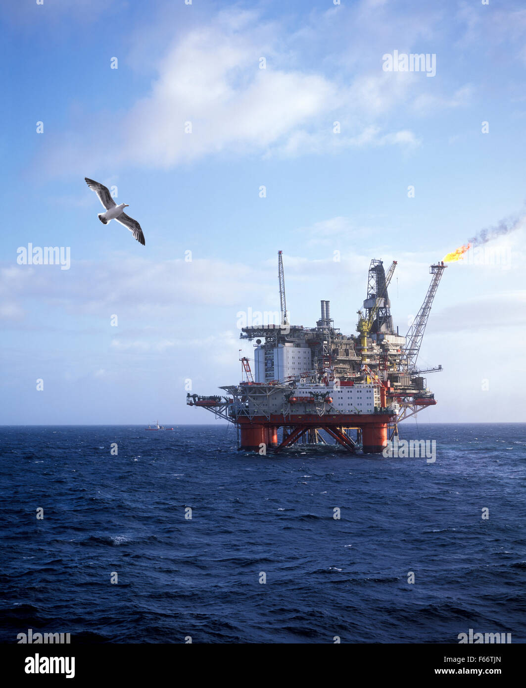 North Sea, Norway, Oil platform with Seagull Stock Photo