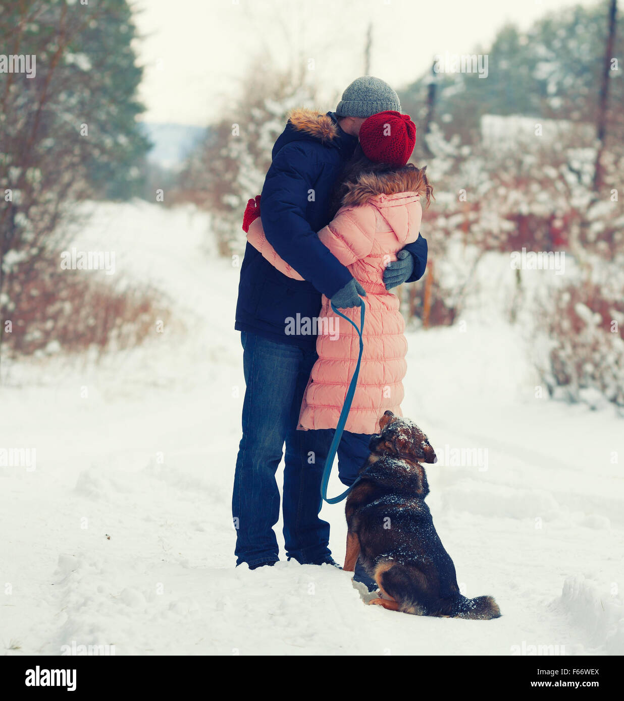 Hugging young couple in love with dog outdoors in snowy winter Stock ...