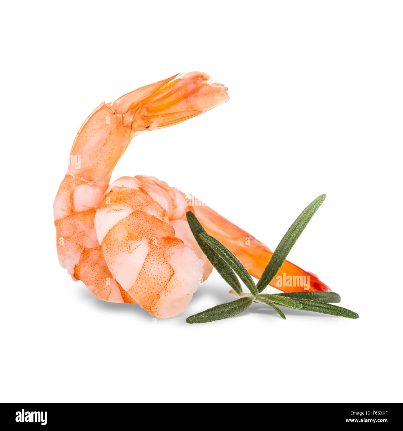 Raw tails of shrimps with fresh rosemary Stock Photo