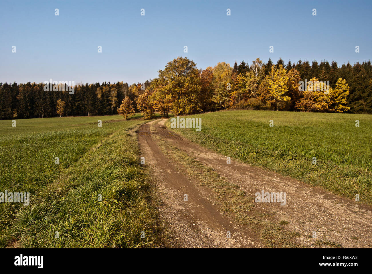 Fall Countryside Trail autumn countryside with foot-path (hiking trail), meadow and colourful ...