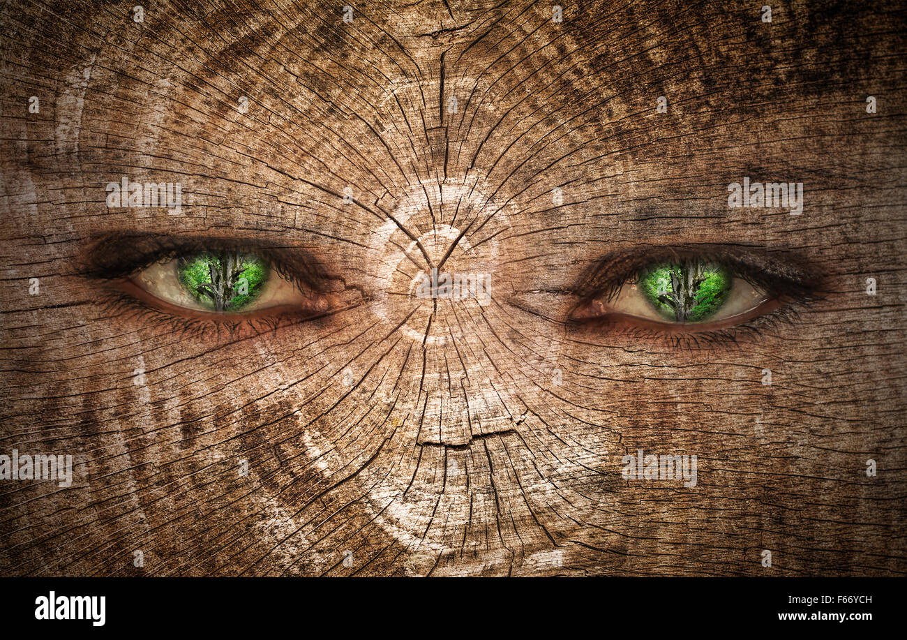 green human eye on a wood Stock Photo