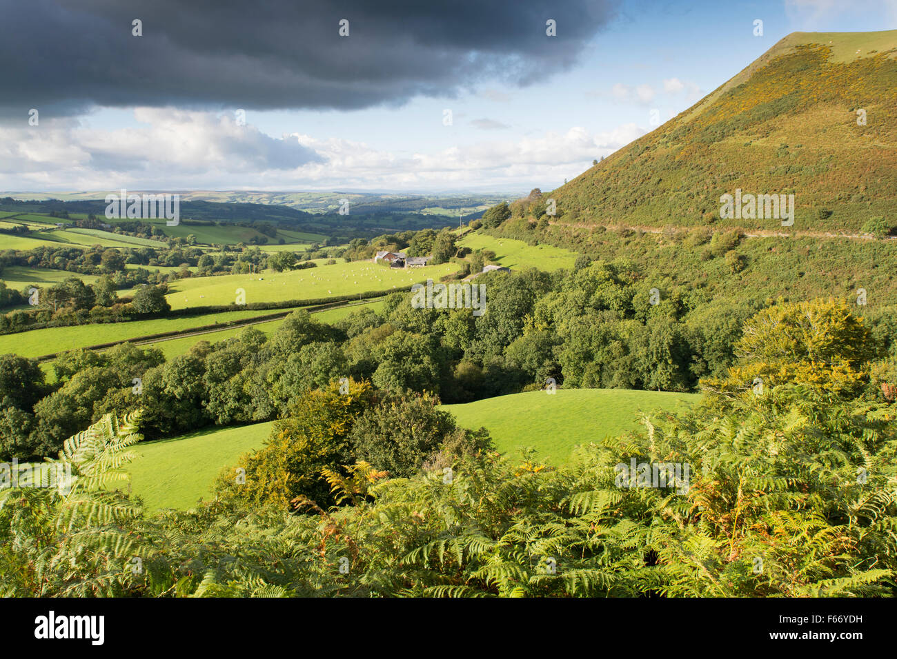 Welsh countryside in early autumn on the A483 near Newtown, Powys, Wales, UK Stock Photo