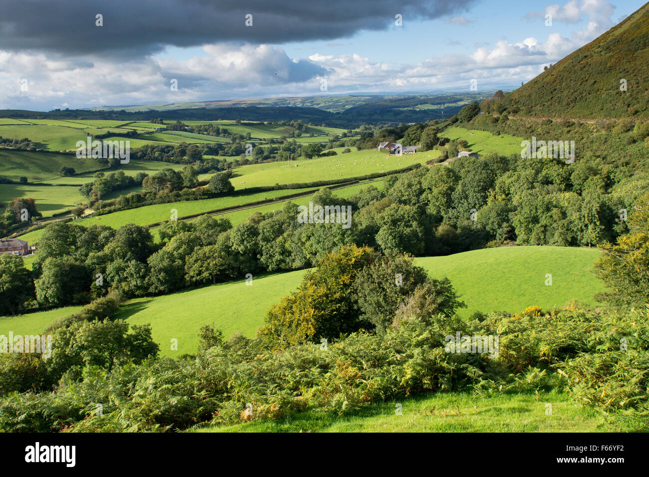 Welsh countryside in early autumn on the A483 near Newtown, Powys Stock