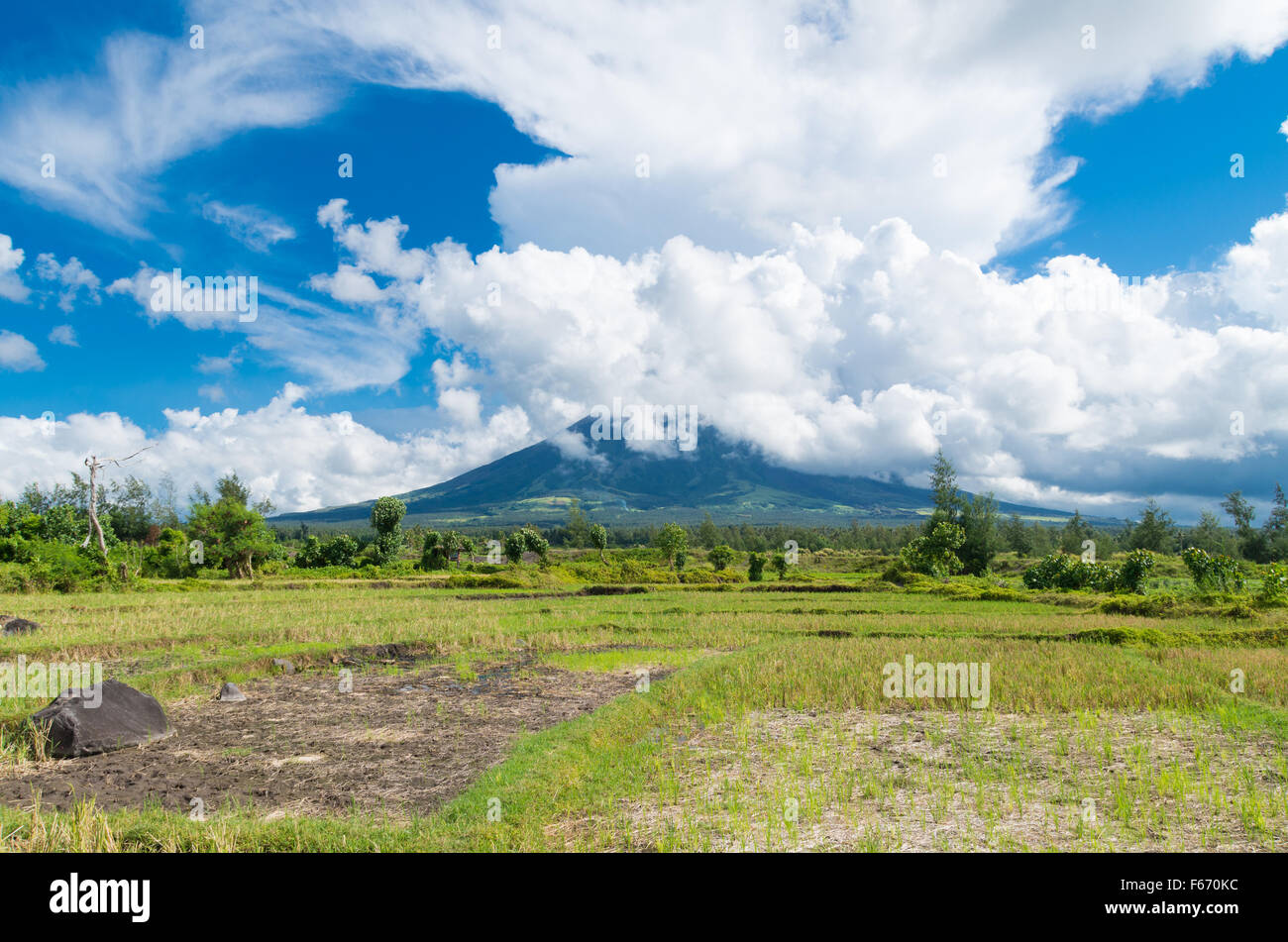 Mayon is a classic stratovolcano (composite) type of volcano with a small central summit crater. The cone is considered the worl Stock Photo