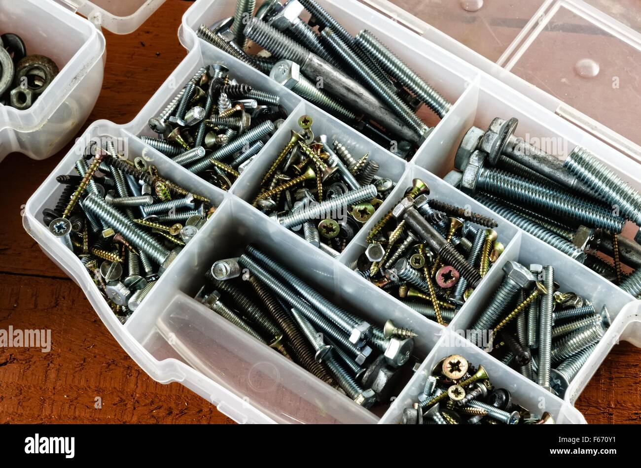Bolts and screws in plastic containers Stock Photo Alamy