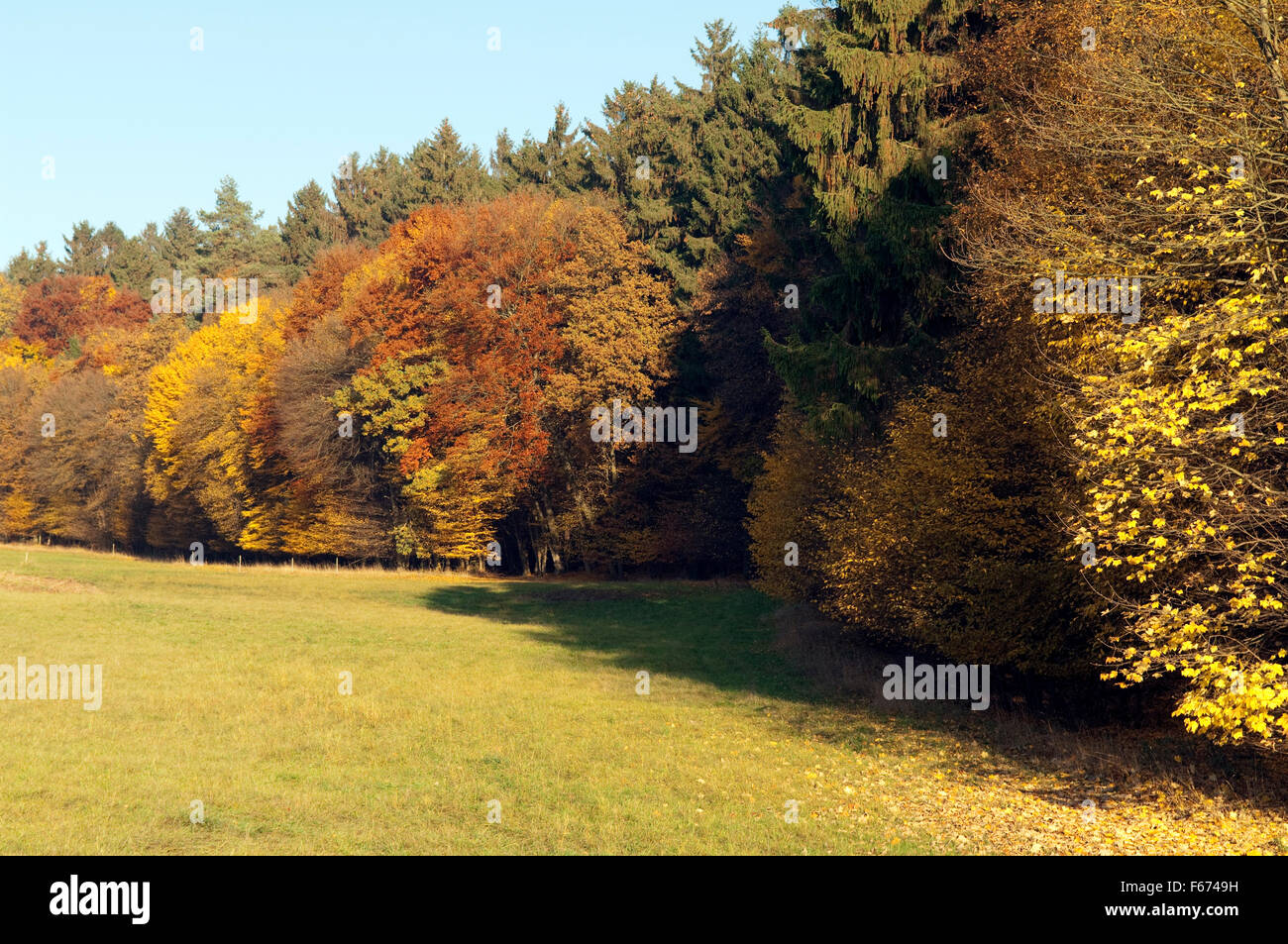 Herbstimpressionen, Herbst, Herbstblaetter Stock Photo