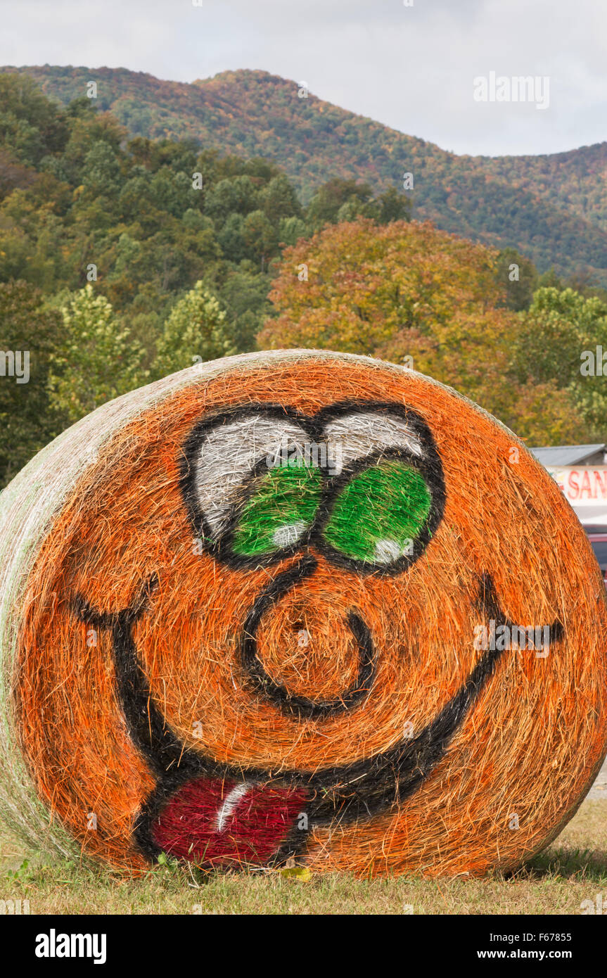 Decorated hay bale at Graves' Mountain Apple Harvest Festival, Virginia, USA Stock Photo
