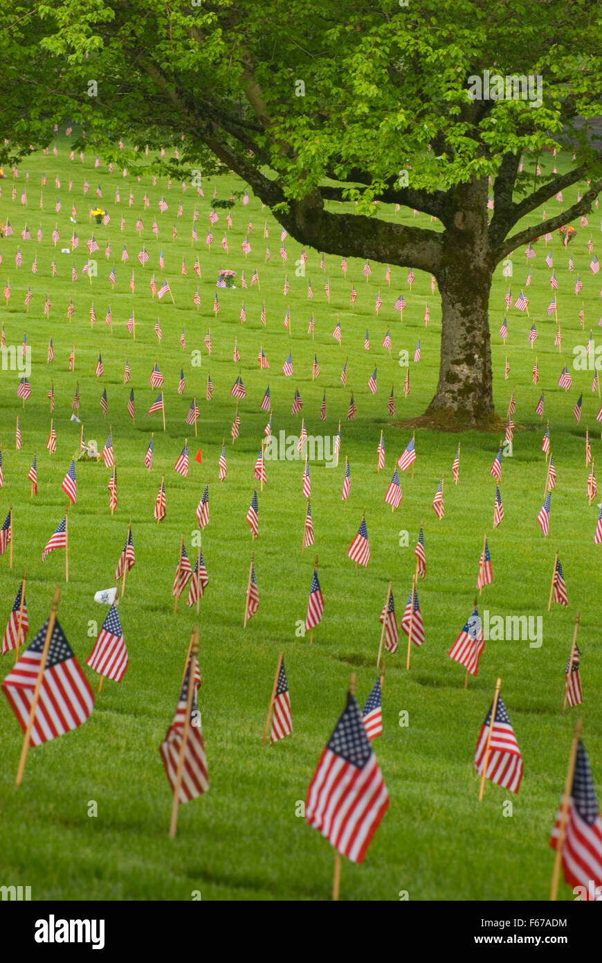 Memorial Day Flags On Graves Willamette National Cemetery Portland Oregon Stock Photo Alamy
