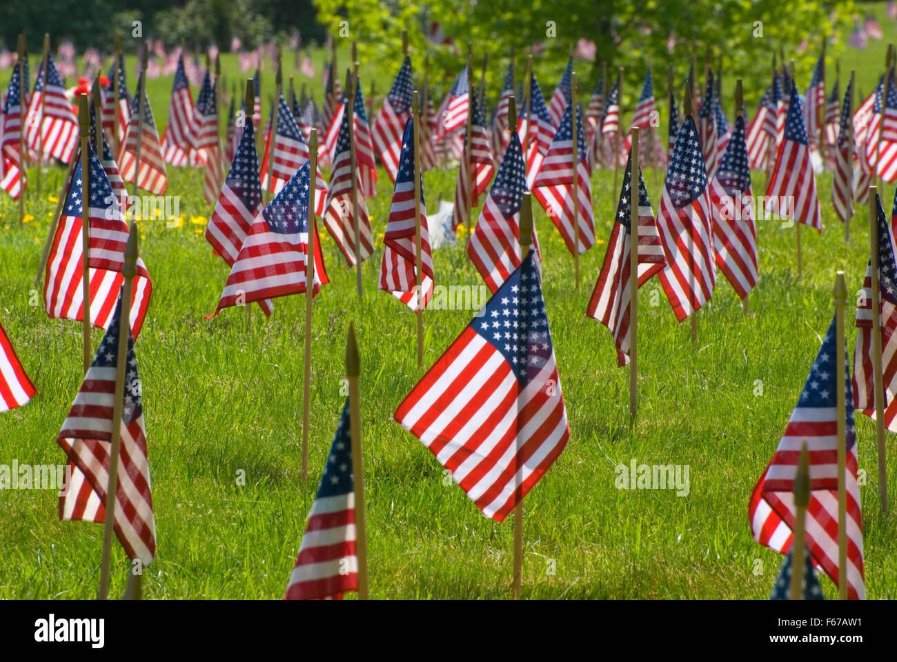 Memorial Day flags on graves, Willamette National Cemetery, Portland