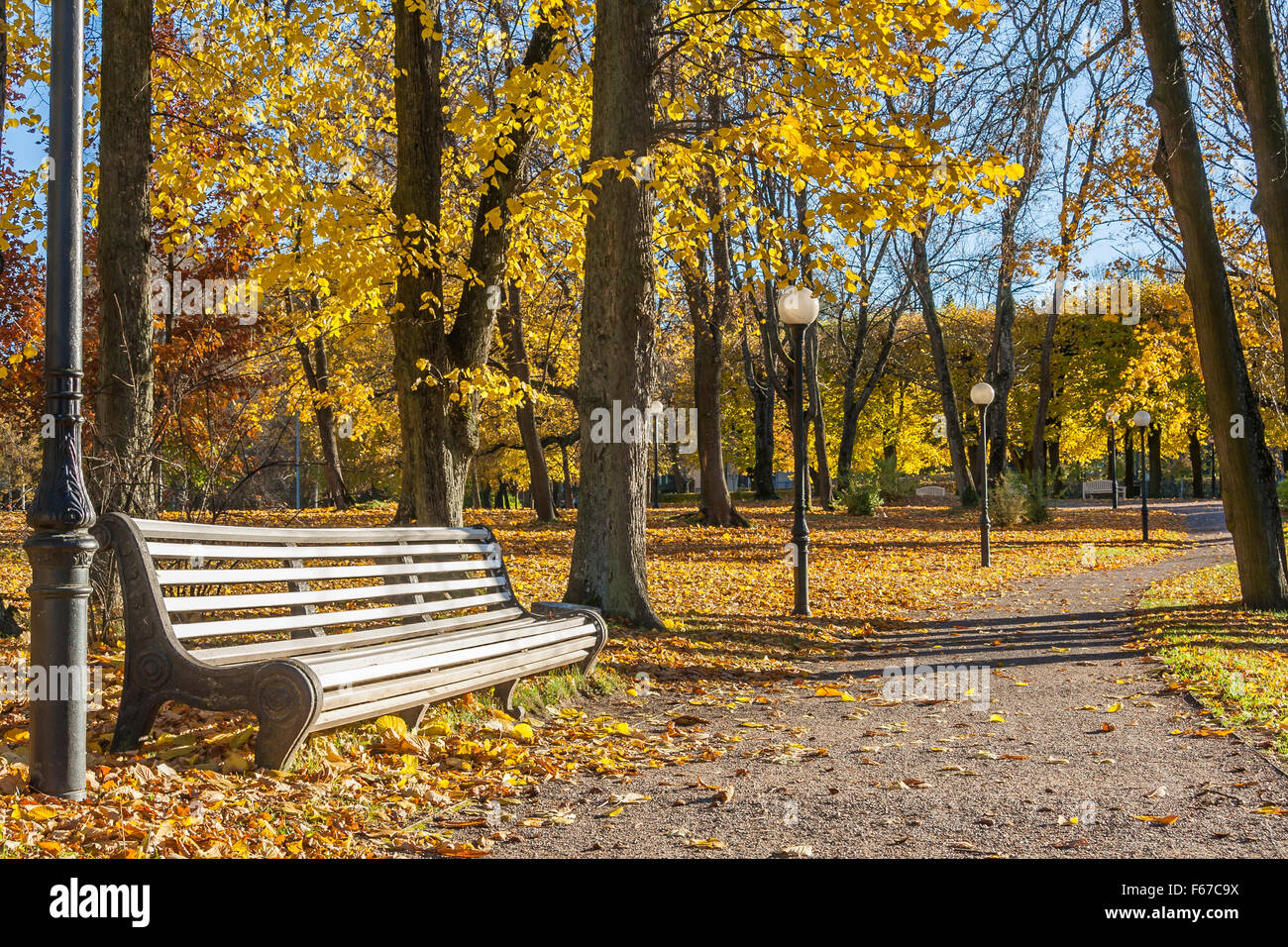Old Bench In The Autumn Park Stock Photo - Alamy