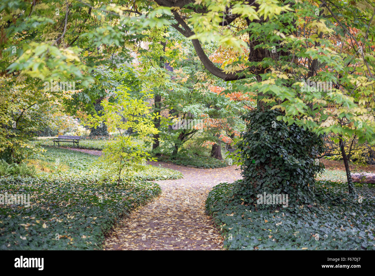 Botanical Gardens in autumn colors Wroclaw Stock Photo