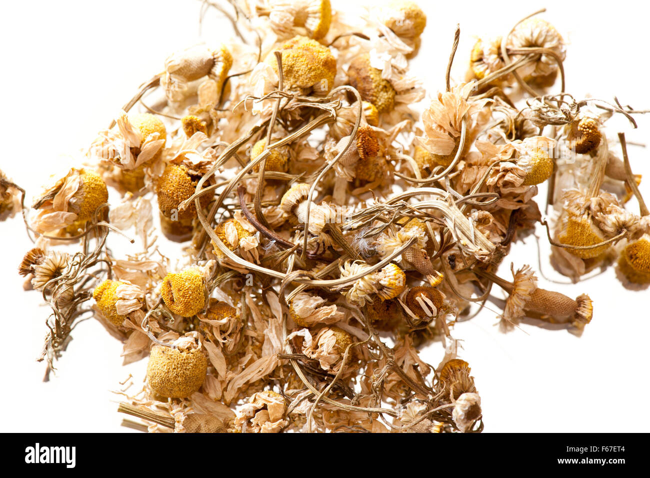 Chamomile dried herbal tea, Matricaria chamomilla flowers known as ...