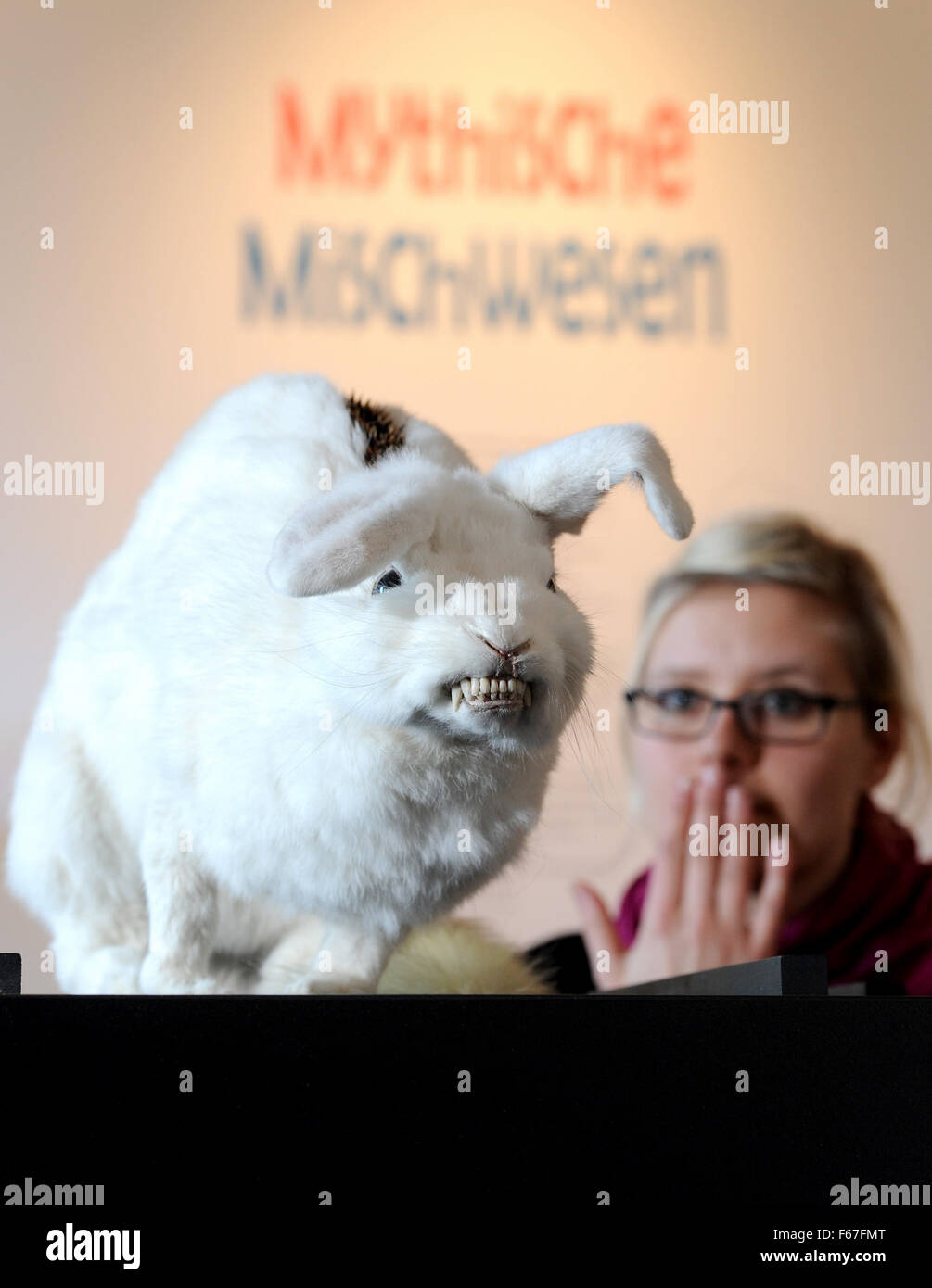 Oldenburg, Germany. 13th Nov, 2015. Biologist Maria Will, one of the curators of the special exhibition 'Bestiarium Construendum - Mit Fantasie zu Fabeltier & Co.' looks an evil rabbit with a badger's bite and prickle back at the Landesmuseum Natur & Mensch in Oldenburg, Germany, 13 November 2015. The stuffed animal is part of the Mythical Creatures exhibition which will run from 14 November 2015 to 10 April 2016. Photo: INGO WAGNER/dpa/Alamy Live News Stock Photo