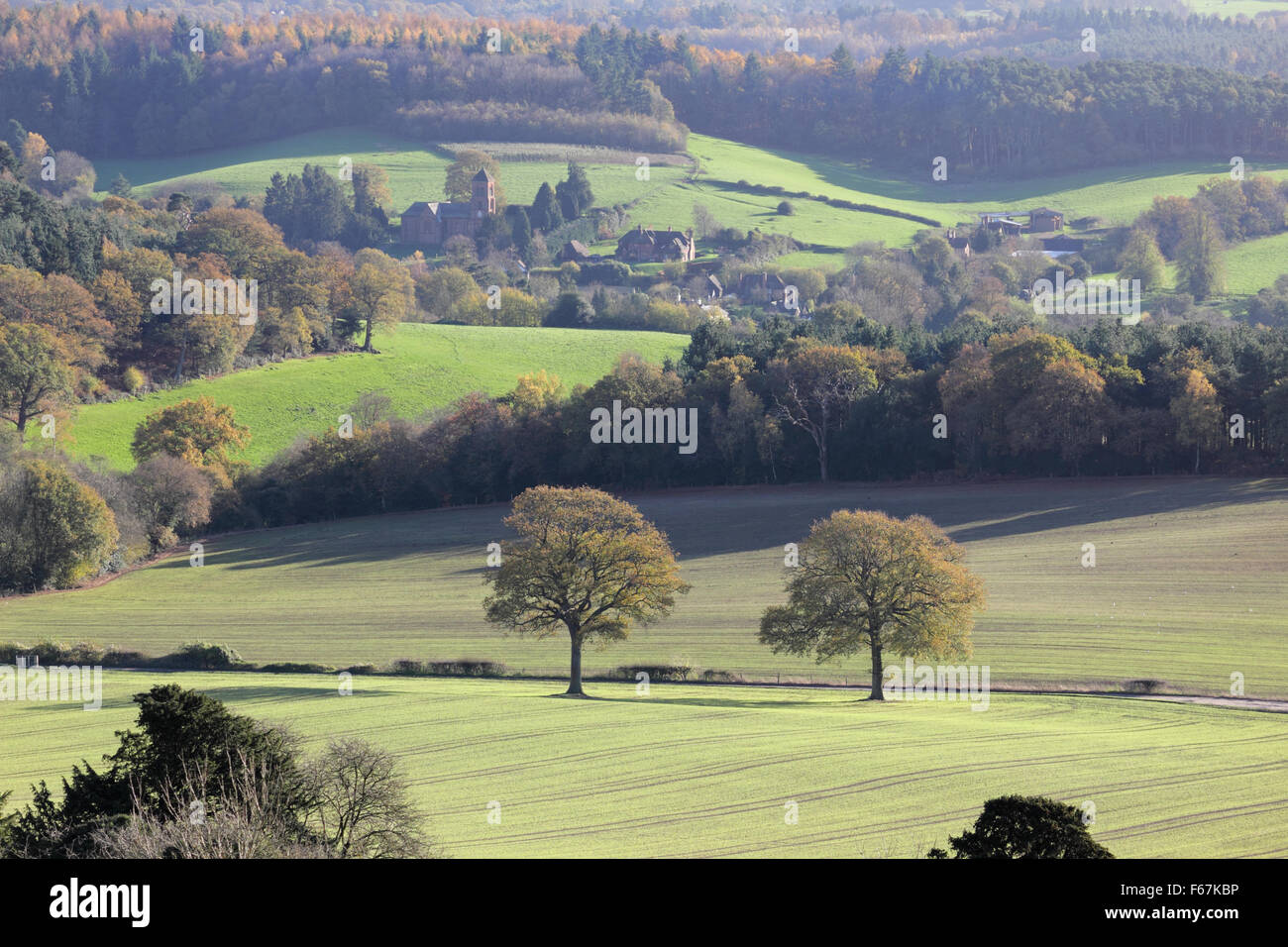 Newlands Corner, Surrey, England, UK. 13th November 2015. The view from Newlands corner towards the village of Albury is a picture of beautiful autumn colours, on a blustery day of sunshine and showers in the Surrey Hills near to Dorking. Credit:  Julia Gavin UK/Alamy Live News Stock Photo
