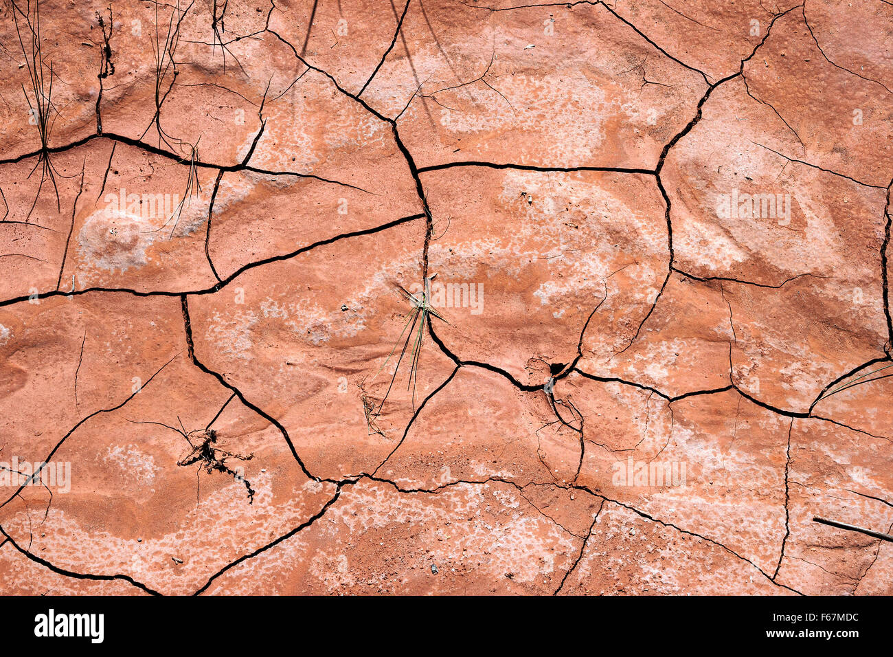 Dry earth, dry cracks in ground, Capitol Reef National Park, Utah, USA Stock Photo