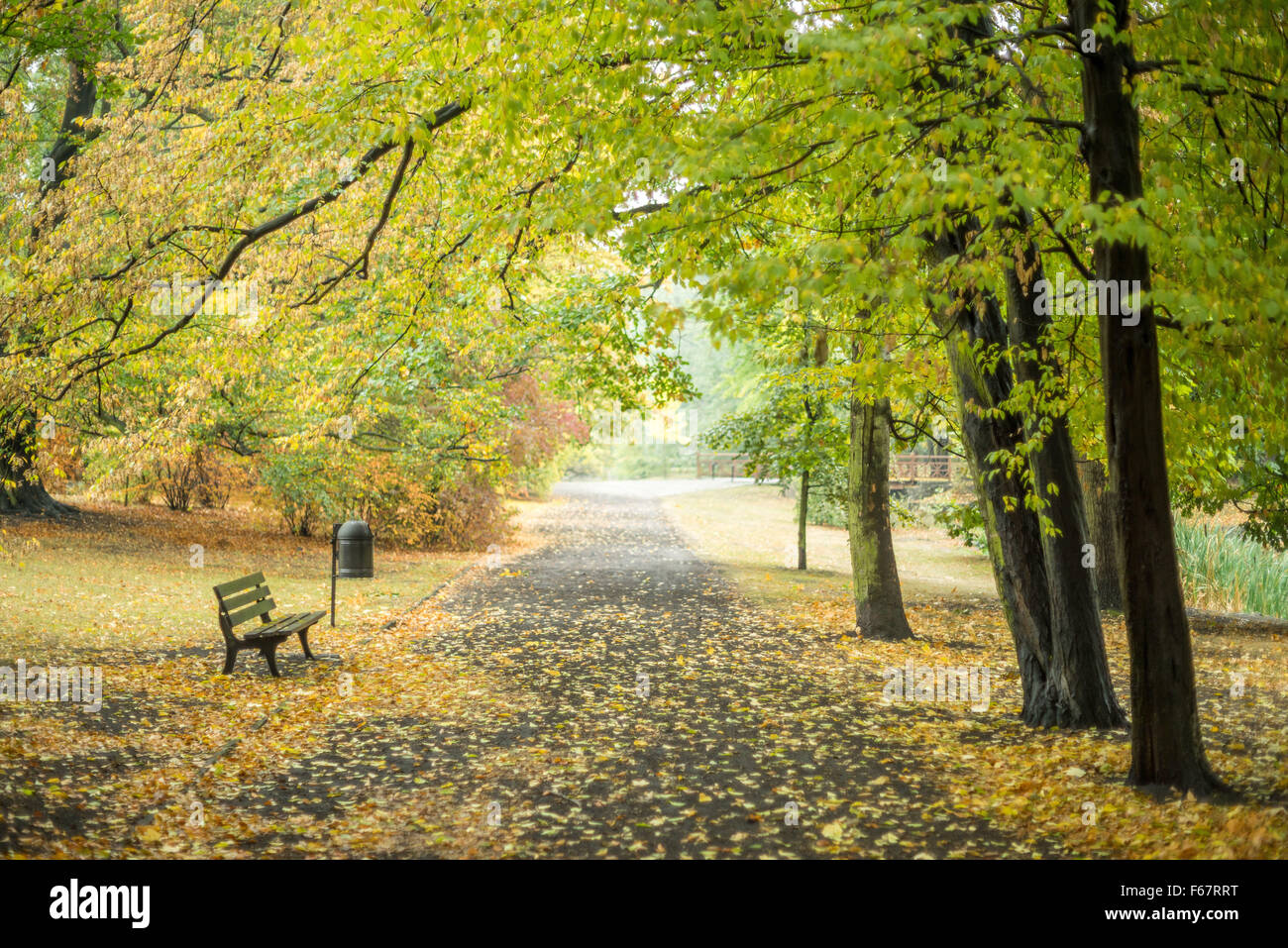 Quiet park lane covered with fallen autumn leaves Stock Photo