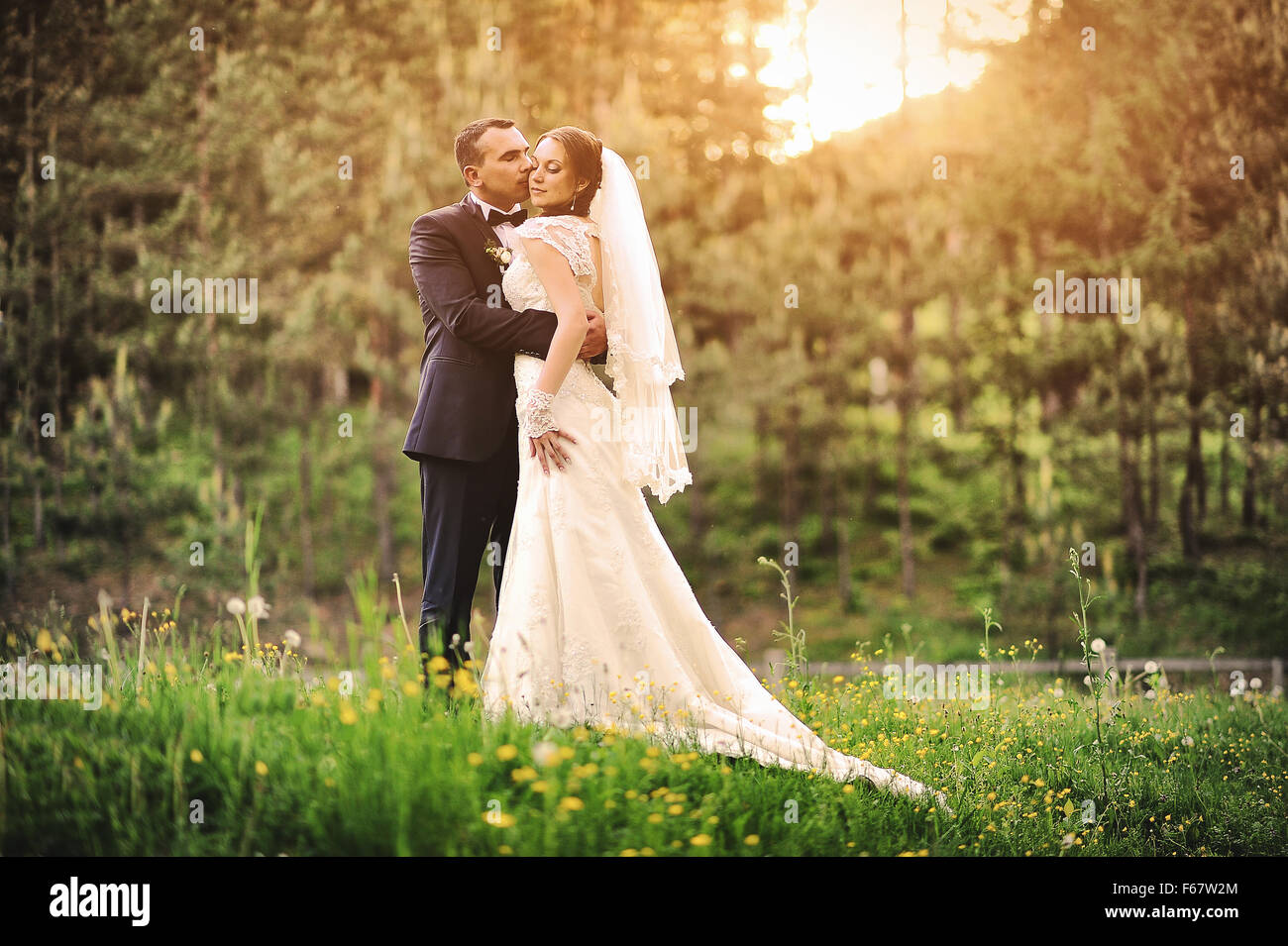 Kissing groom at the sunset Stock Photo - Alamy
