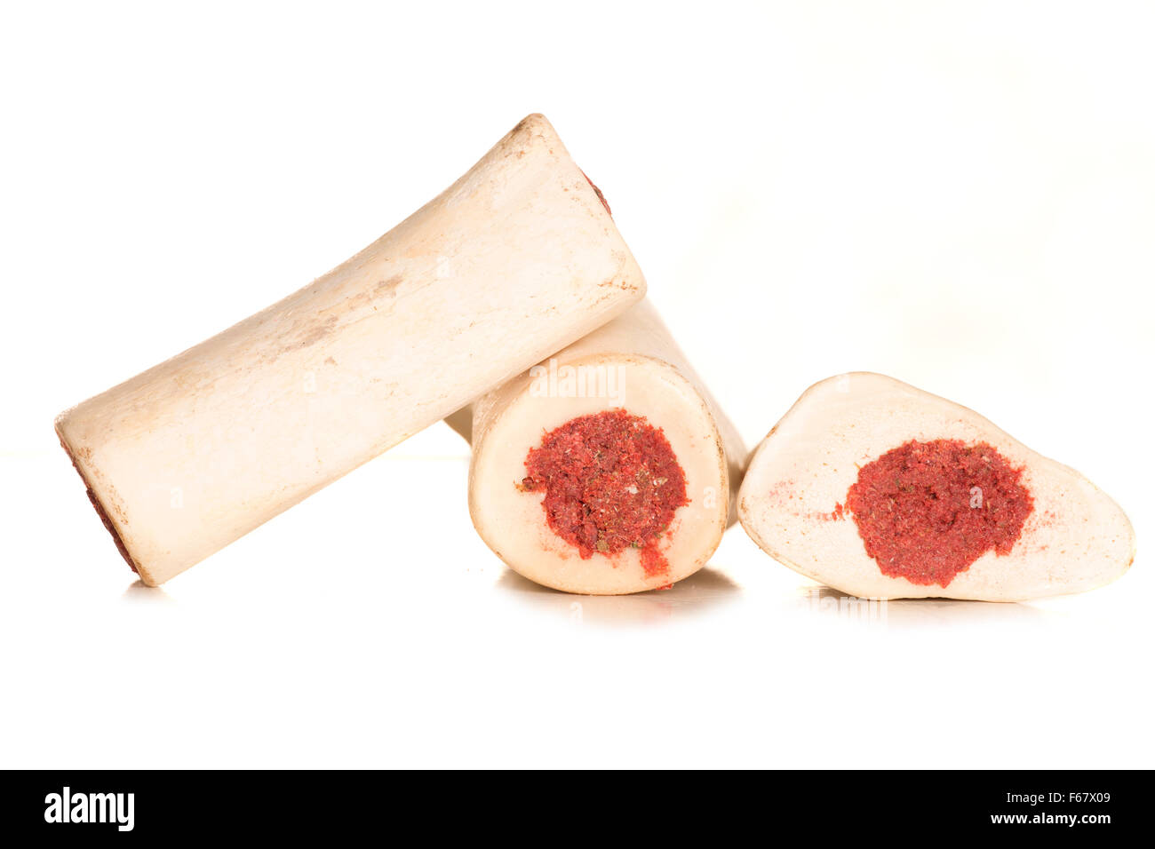 Dog bones hires stock photography and images Alamy