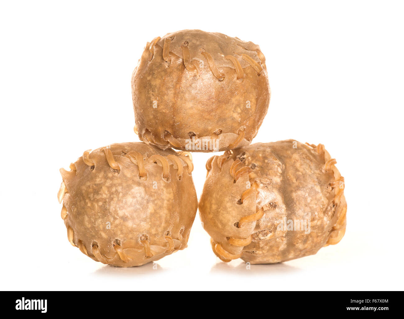 Chewie dog hires stock photography and images Alamy