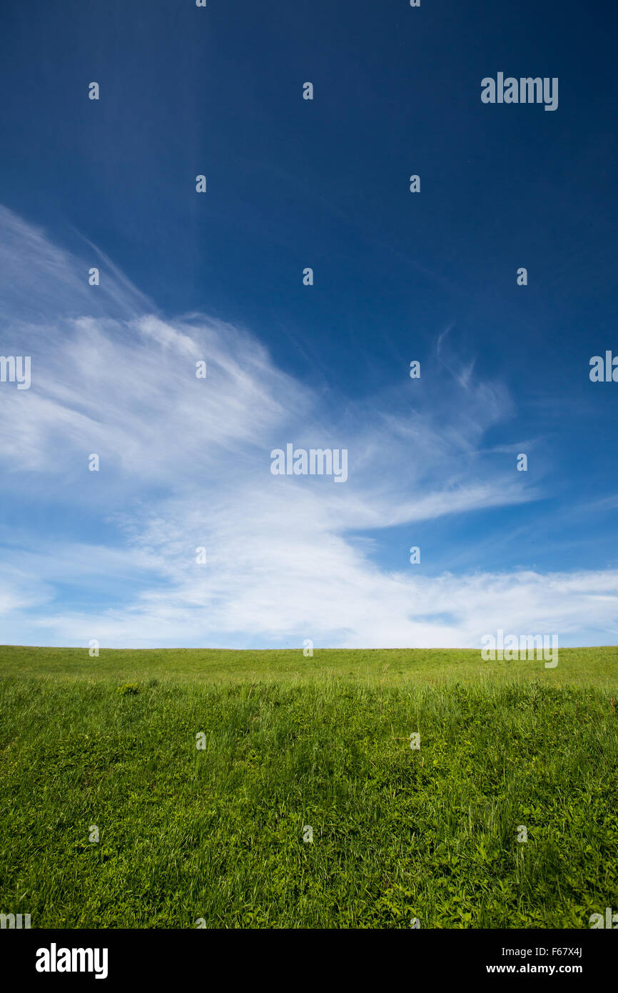 lovely summer field with blue sky Stock Photo - Alamy