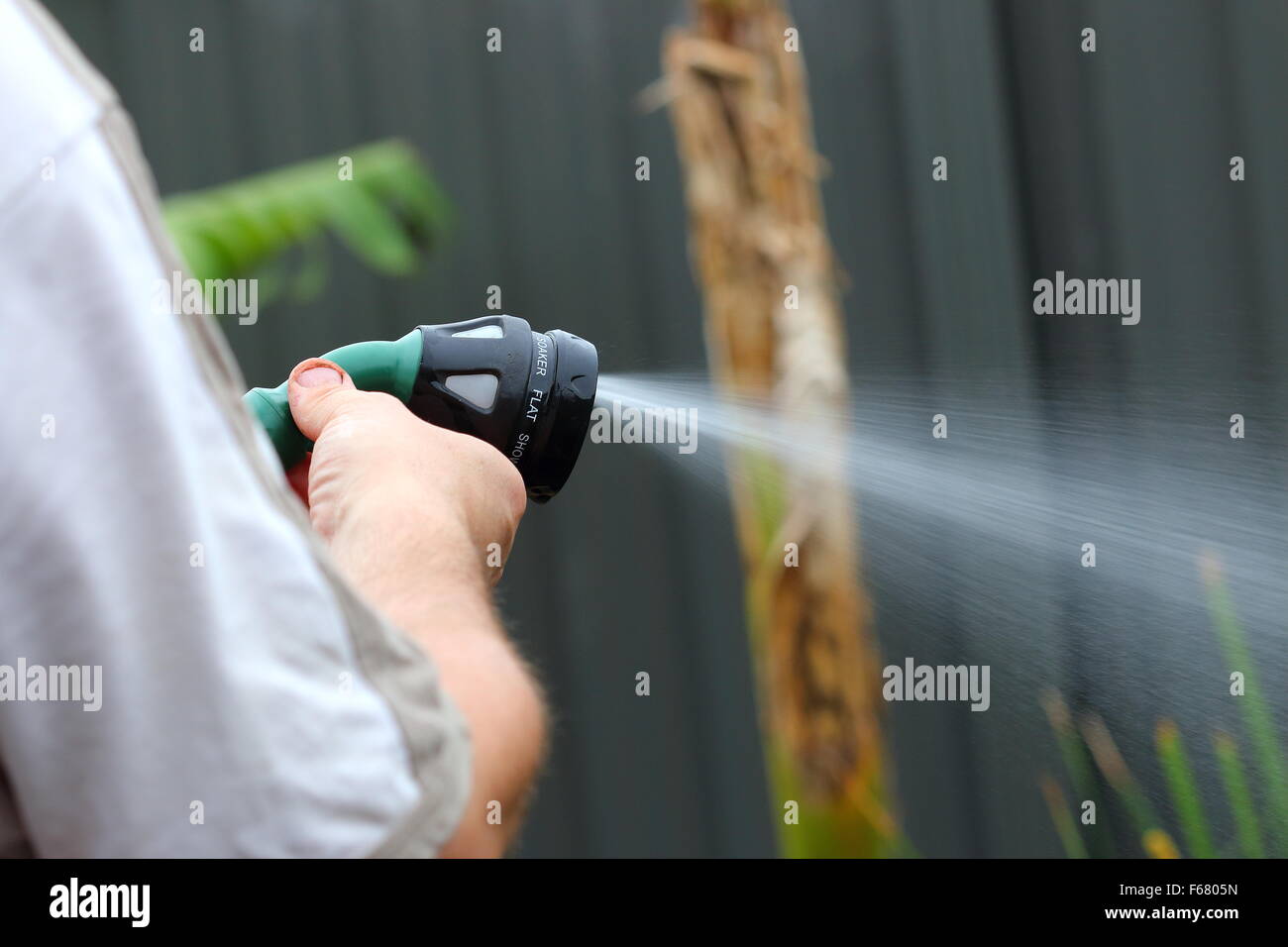 Gardener with watering hose Stock Photo