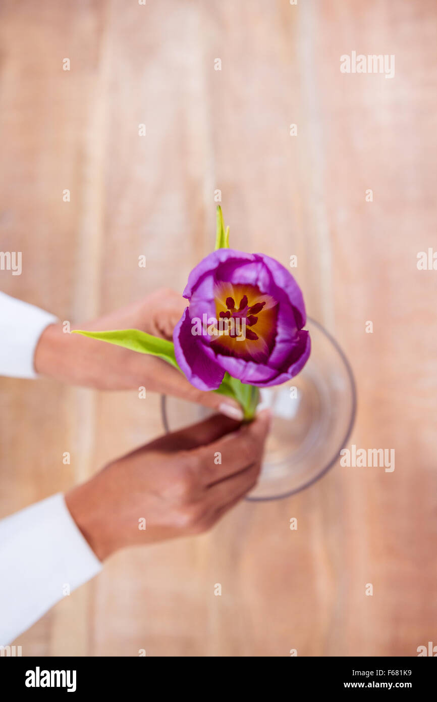 Woman putting a flower in a vase Stock Photo Alamy