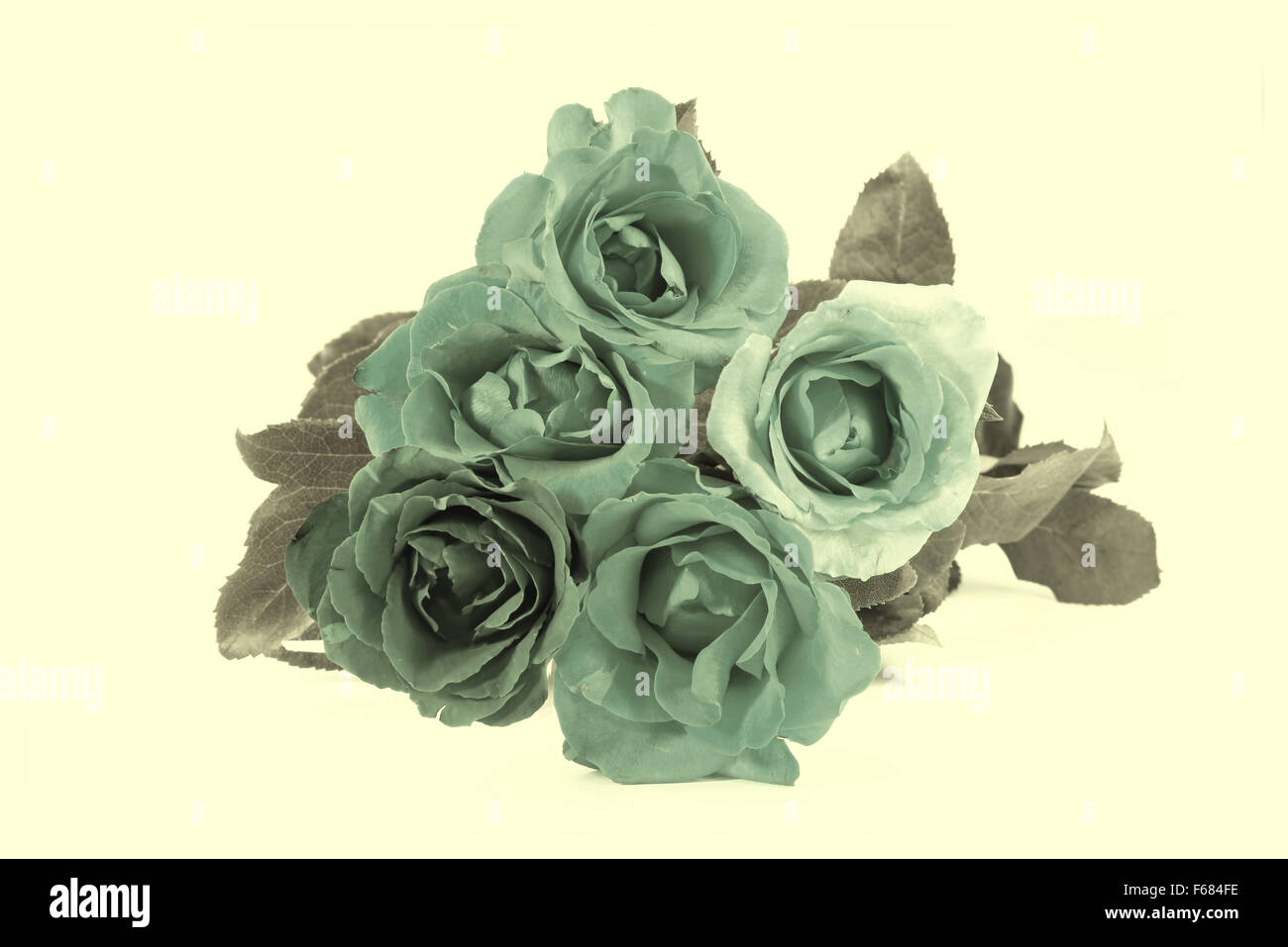 roses, Valentines Day vintage style Stock Photo