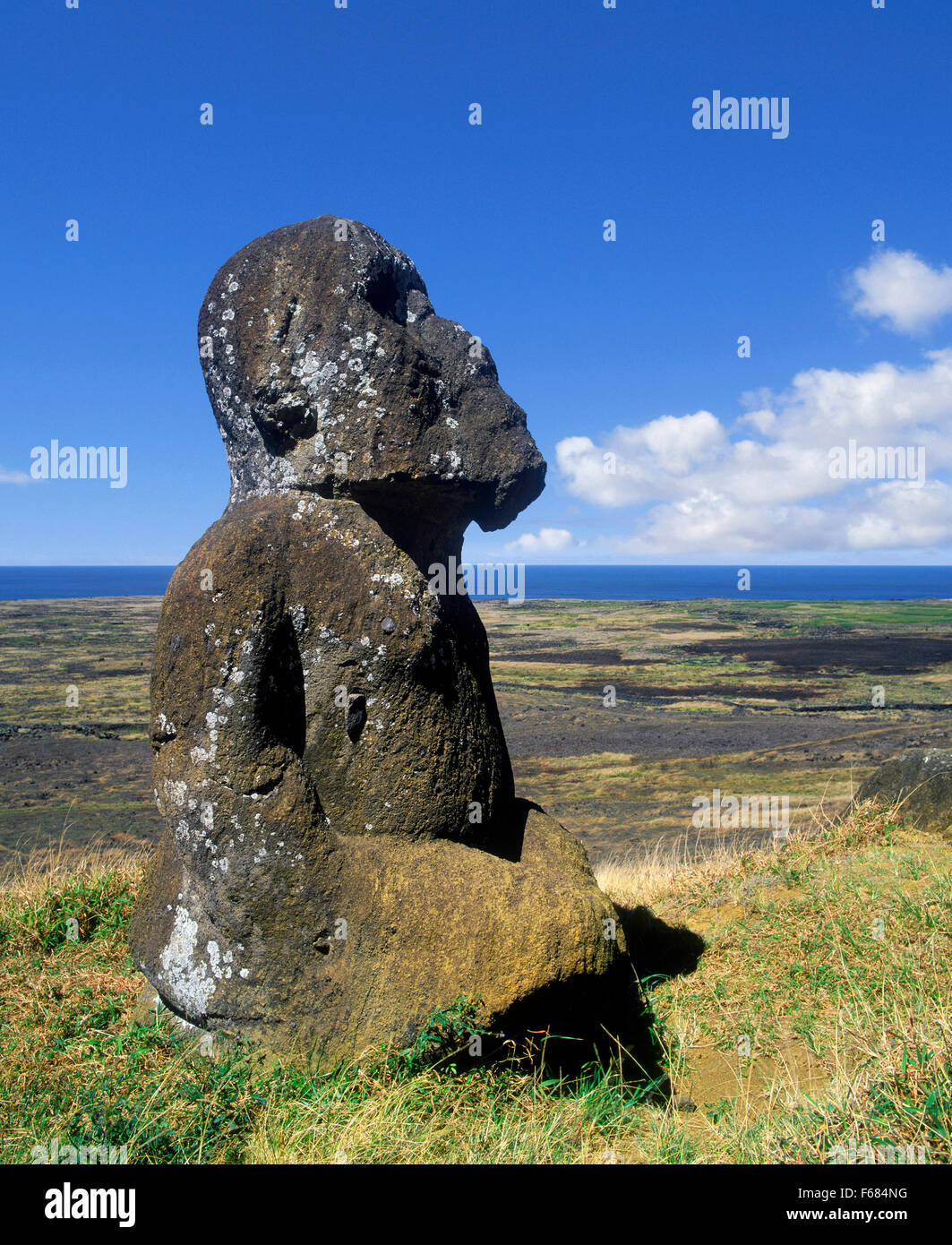 Easter Island, Statue of Tukuturi, Discovered by Thor Heyerdahl Stock Photo Alamy