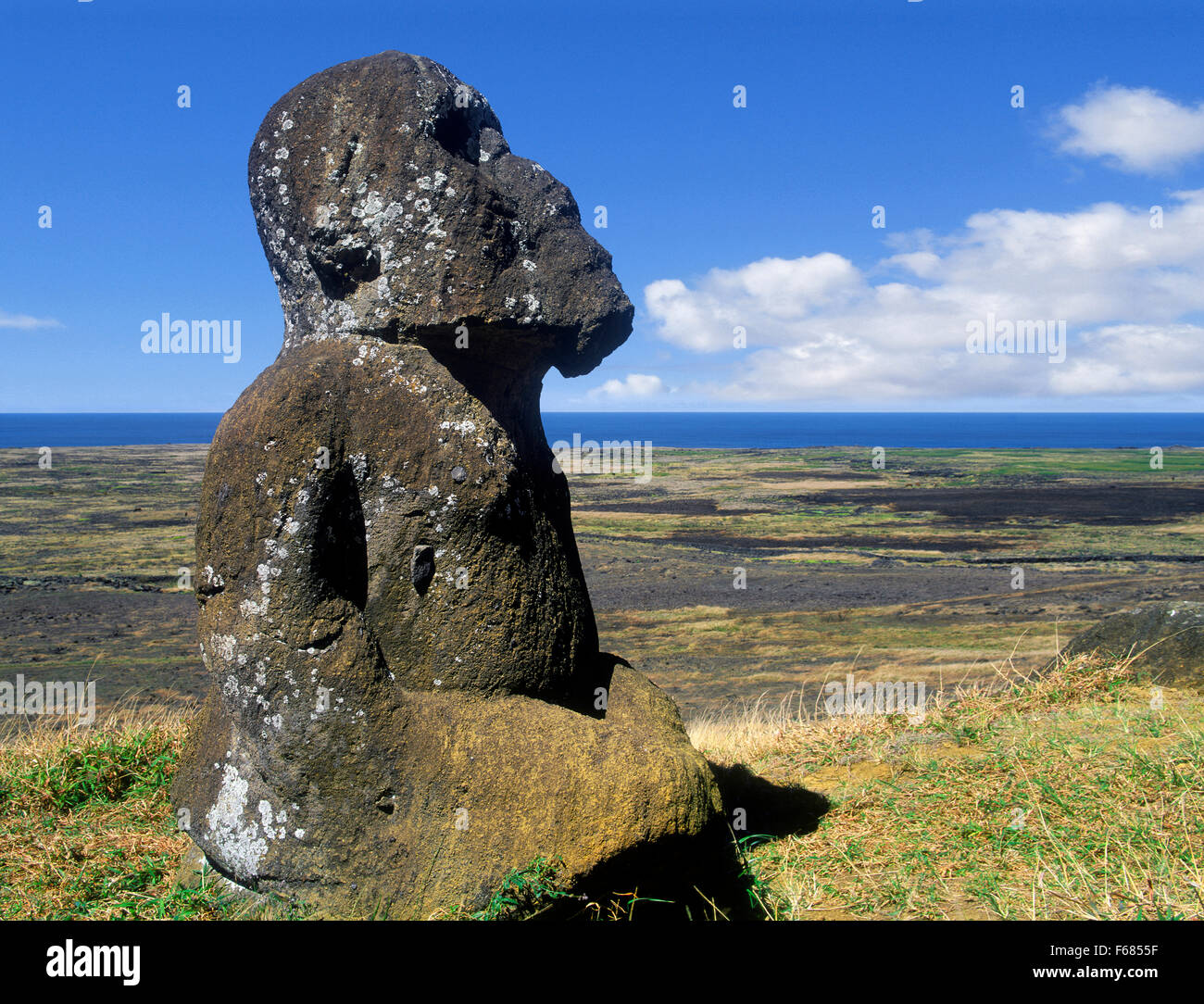 Easter Island, Statue of Tukuturi, Discovered by Thor Heyerdahl Stock