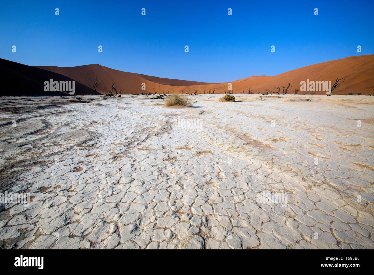 Salt and clay pan at Deadvlei, Namibia, Africa Stock Photo