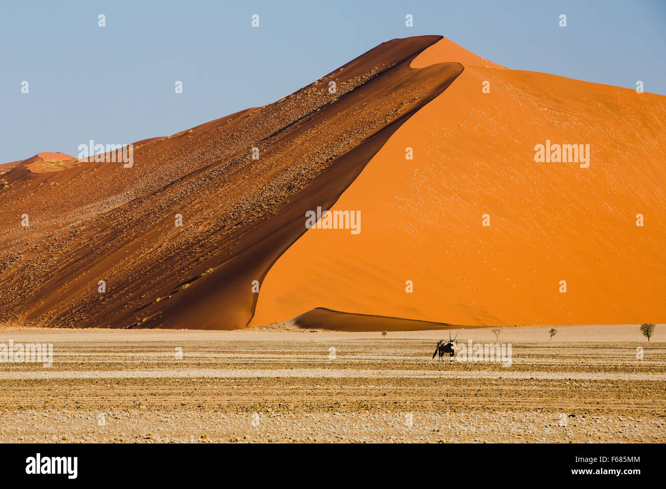 Sossusvlei sand dune, Naukluft National Park, Namibia, Africa Stock Photo