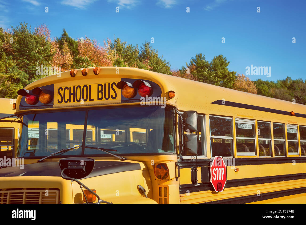 Yellow school bus in parking lot against autumn trees with beautiful blue sky Stock Photo
